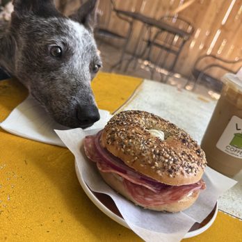 Lu Lu Coffee - Peppered salami everything bagel - Coffee Roasteries Near Me - Fullerton, California