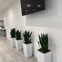 Huntington Orthopedics