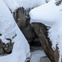 Photo of Grotto Trail