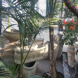 Viveros Spruth - Maa plantitas