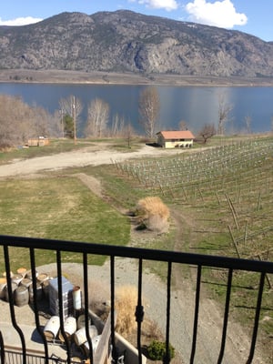 La Stella Winery by null