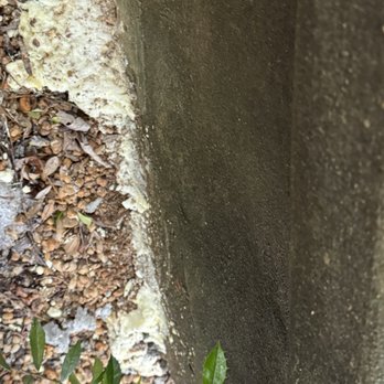 JES Foundation Repair - Foam from lift step left visible - Foundation Repair Near Me - Nottingham, Maryland JES Foundation Repair - Foam from lift step left visible - Foundation Repair Near Me - Nottingham, Maryland