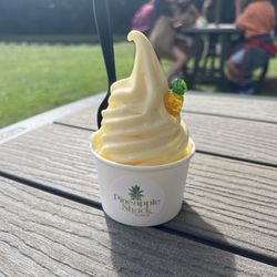 Pineapple Shack Kauai - Kids dole whip for $5.00
