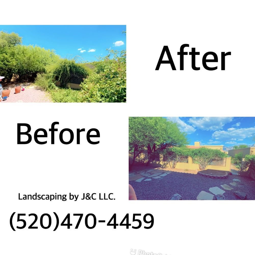 Landscaping By J & C - tree service in Tucson, AZ
