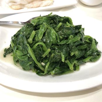 Yue Restaurant - Pea sprouts with garlic - Seafood Near Me - Richmond, British Columbia Yue Restaurant - Pea sprouts with garlic - Seafood Near Me - Richmond, British Columbia