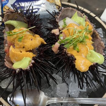 Holbox - Uni and scallop ceviche (one order comes with both halves) - Latin American Near Me - Los Angeles, California