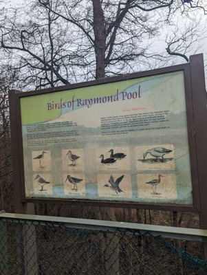 Bombay Hook National Wildlife Refuge by null