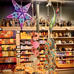 Madame Meerkat's Cabinet of Curiosities