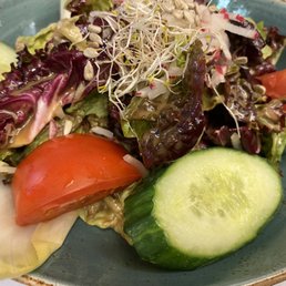 Salad Salad