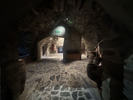 Donegal Castle by null