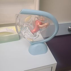 Kitsap OB/GYN