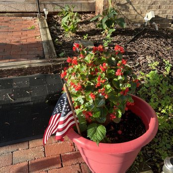 That's Amore Restaurant - Begonias outside - Italian Near Me - Rockville, Maryland