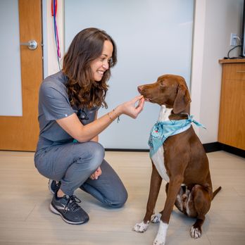 Sploot Veterinary Care - RiNo - Veterinarians Near Me - Denver, Colorado Sploot Veterinary Care - RiNo - Veterinarians Near Me - Denver, Colorado