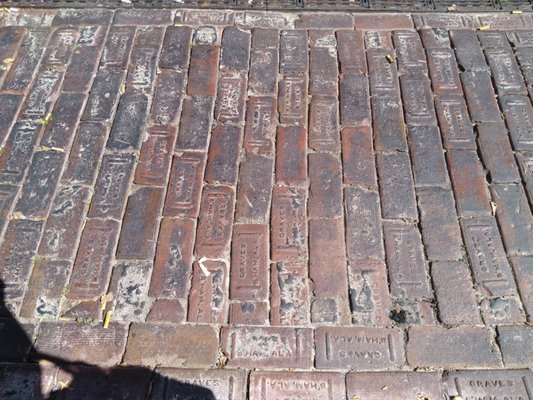 Fishbone Alley by null