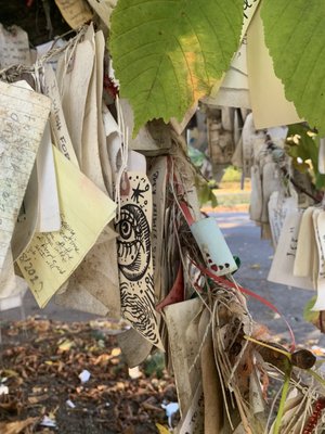 The Wishing Tree by null