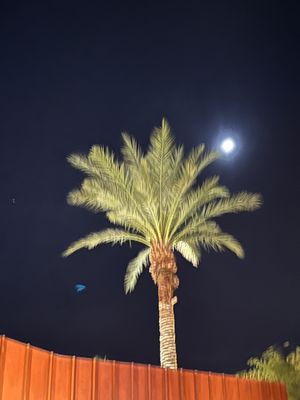 ARRIVE Palm Springs by null