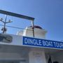 Photo of Dingle Boat Tours