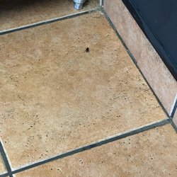 Taco Casa - Adult and juvenile roaches on in front of register. Their response was oh that's the first ones I've seen this month.
