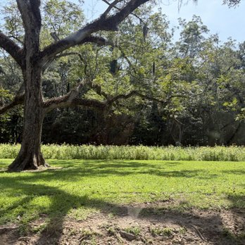 Boone Hall Plantation - Venues & Event Spaces Near Me - Mount Pleasant, South Carolina