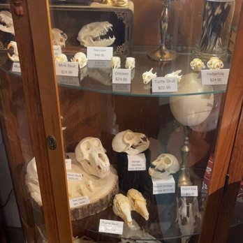 Evens&Oddities - Antiques Near Me - Haverhill, Massachusetts Evens&Oddities - Antiques Near Me - Haverhill, Massachusetts