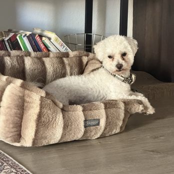 First Class Boarding &Training - Pet Boarding Near Me - Diamond Bar, California First Class Boarding &Training - Pet Boarding Near Me - Diamond Bar, California