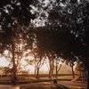 Washington Park gift card