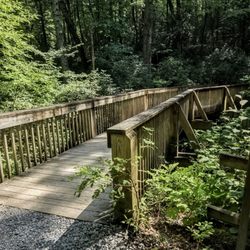 DuPont State Forest - At DuPont State Recreational Forest