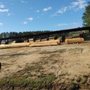 Photo of General Timber Inc