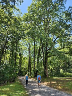 French Broad Adventures by null