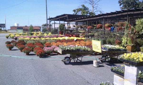 Country Boy's Garden Center Greenhouse, 2917 Wade Hampton