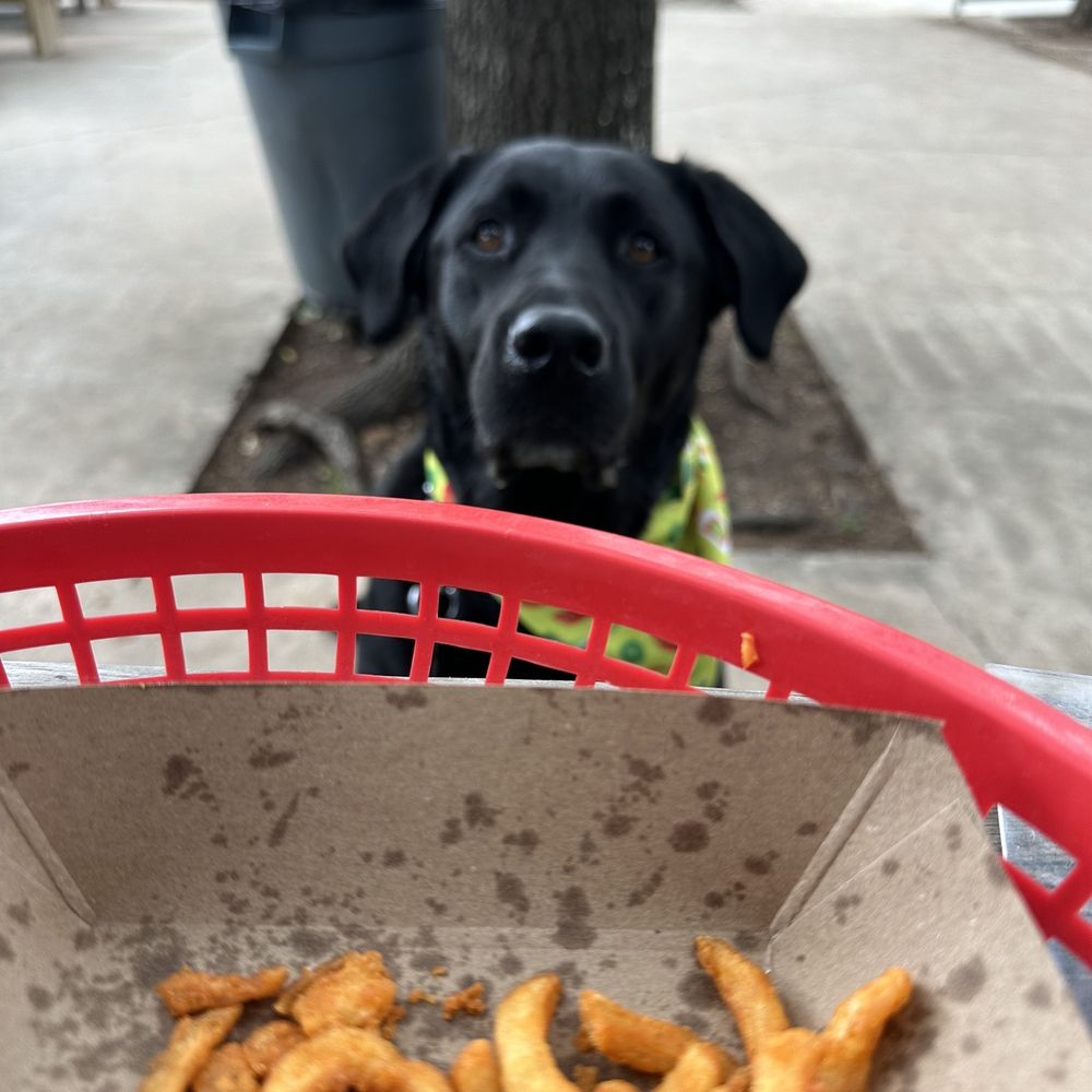 Hondo's - Patio and Curly Fries - single - Bars Near Me - Fredericksburg, Texas