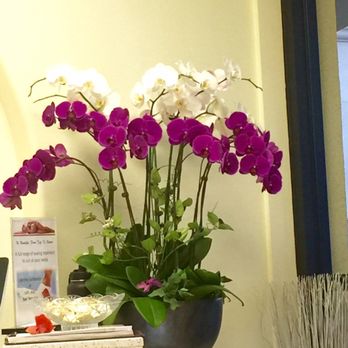 Paradise Nails - Nail Salons Near Me - Dana Point, California