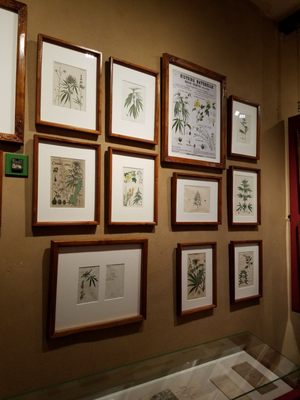 Hash Marihuana & Hemp Museum in Amsterdam by null