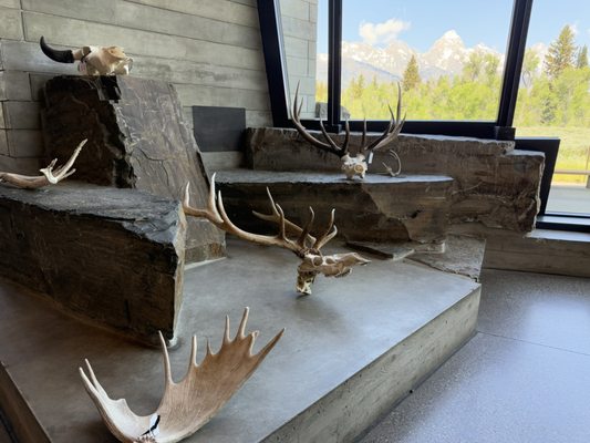 Craig Thomas Discovery and Visitor Center by null