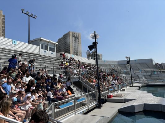 Coney Island Beach & Boardwalk by null