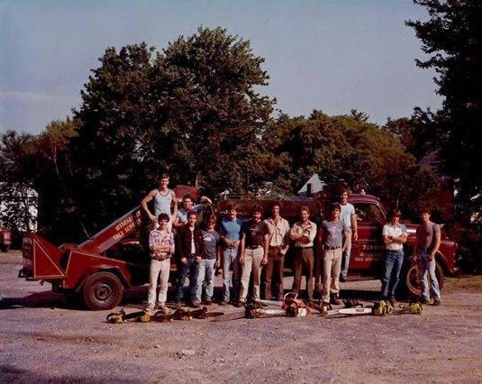 Boston Tree Preservation - tree service in Woburn, MA