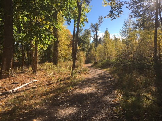 Greenough Park by null