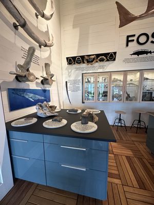 Tybee Island Marine Science Center by null