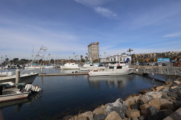 Harbor Fish & Chips by null