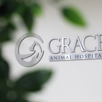 Grace Animal Hospital - Veterinarians Near Me - Downey, California Grace Animal Hospital - Veterinarians Near Me - Downey, California