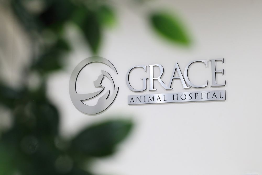 GRACE ANIMAL HOSPITAL Updated April 2024 31 Photos 9990 Lakewood