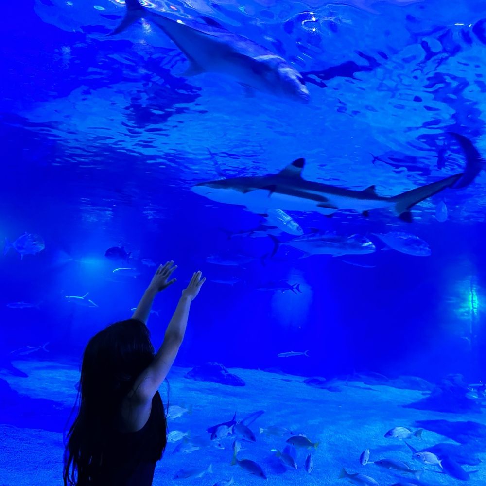 At the playground area and in the aquarium section At the playground area and in the aquarium section