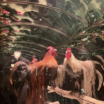 Le Coq - French Near Me - La Jolla, California