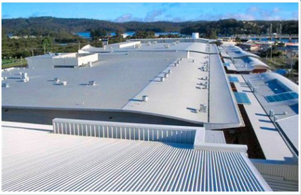 Dynamic National Logo