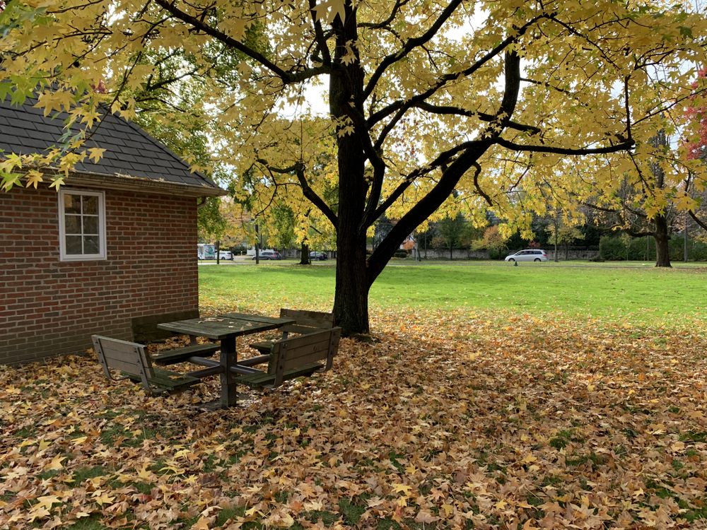 SHAKER HEIGHTS BERTRAM WOODS BRANCH Updated September 2024 14 Photos 20600 Fayette Rd