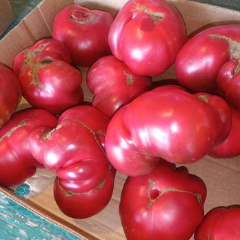 Cindy's Produce - Heirloom tomatoes - Grocery Near Me - Virginia Beach, Virginia Cindy's Produce - Heirloom tomatoes - Grocery Near Me - Virginia Beach, Virginia