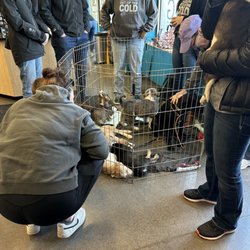 Pet Evolution - Adoption event