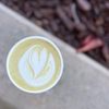 Blue Bottle Coffee - Stanford gift card