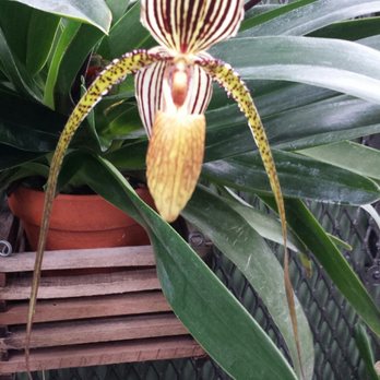 Mitchell Park Domes - Looks like Muppet from Labrynth - Parks Near Me - Milwaukee, Wisconsin