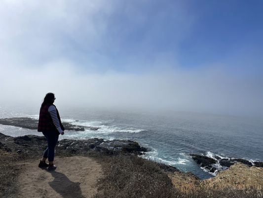 Mendocino Headlands State Park by null